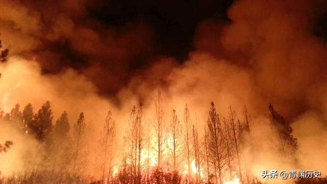 1996年一家人上坟引起火灾，价值300万森林烧成灰，老人：不用赔
