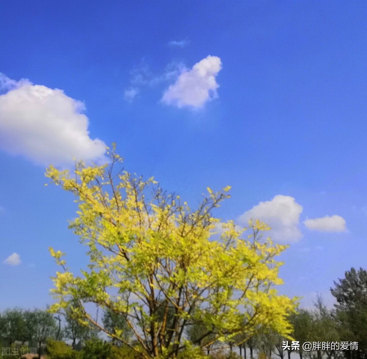 阳光正好,微风不燥,人间值得,你我都是,未来可期