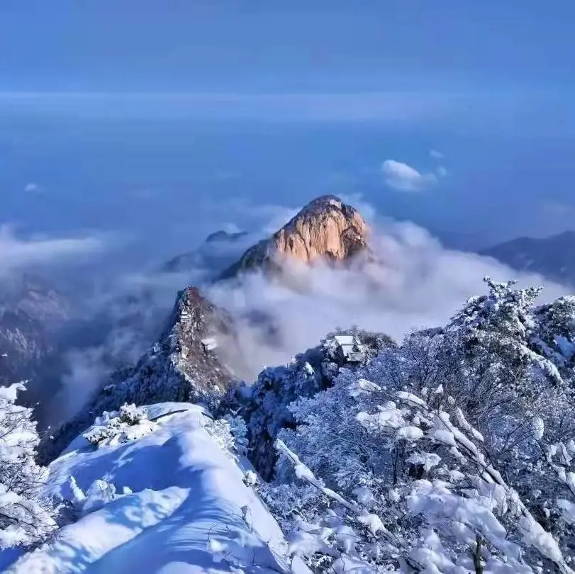 约定！待疫情散去，你我共赏华山美景~