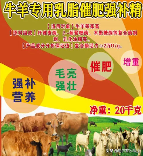 外购瘦弱牛或牛犊短时间育肥的诀窍，每头牛三个月赚3千很容易