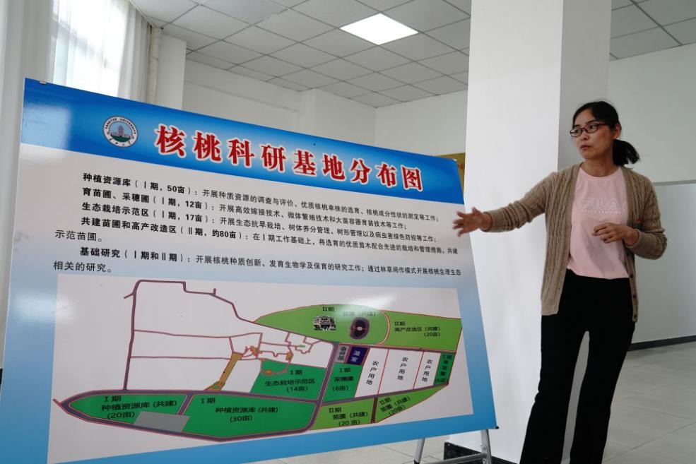 打破瓶颈，新增销售额超40亿，长江大学频受新华社、新闻联播聚焦