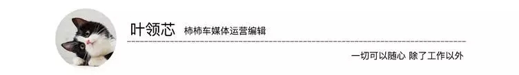 碾压奔驰奥迪 市场份额超14% 特斯拉2021年夺得美国销量亚军