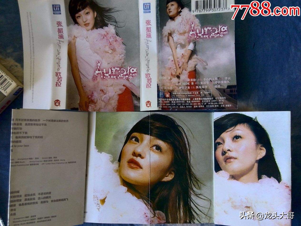 2004年华语乐坛最能打的一年