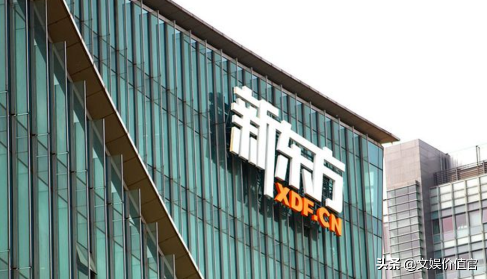 专访丨失业教培人，有人收入倍增、有人回乡“躺平”