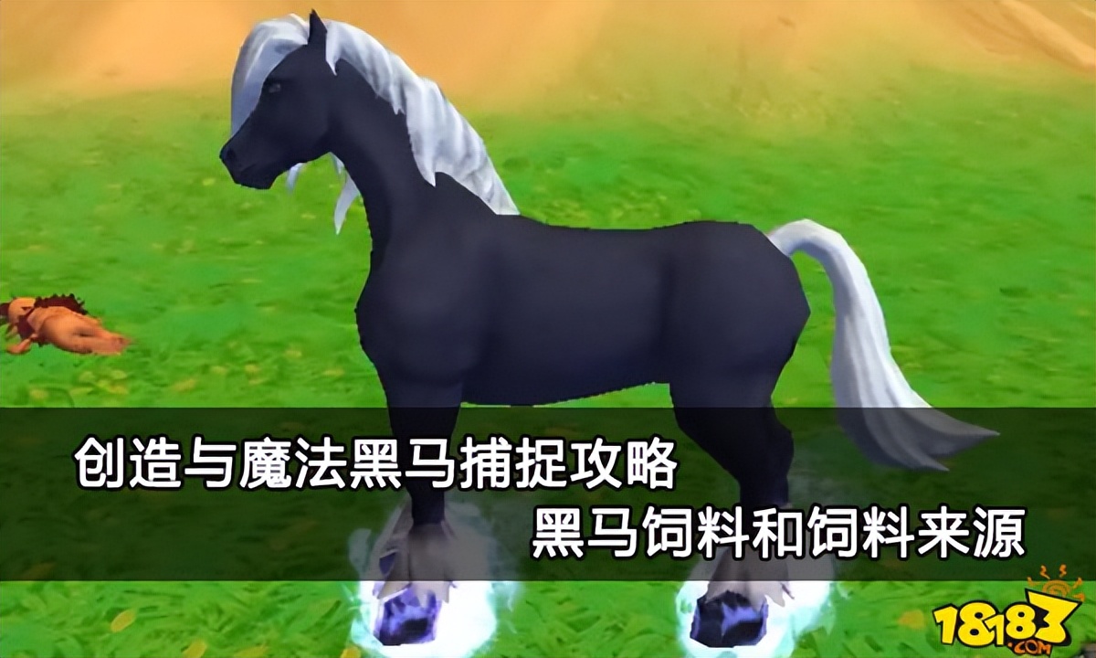 创造与魔法黑马饲料创造与魔法黑马饲料捕捉攻略