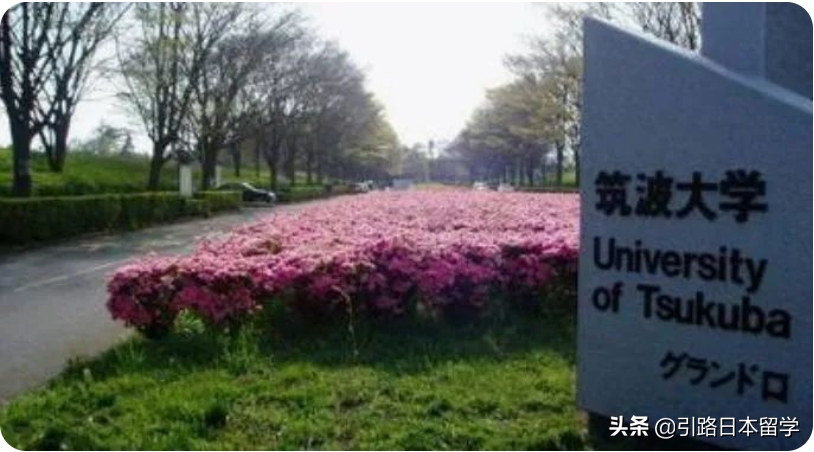 日本有哪些大学有体育学专业？