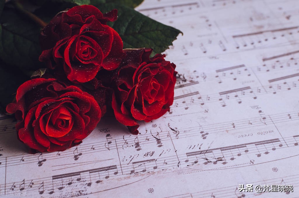 天蝎座，会宠你，也会虐你