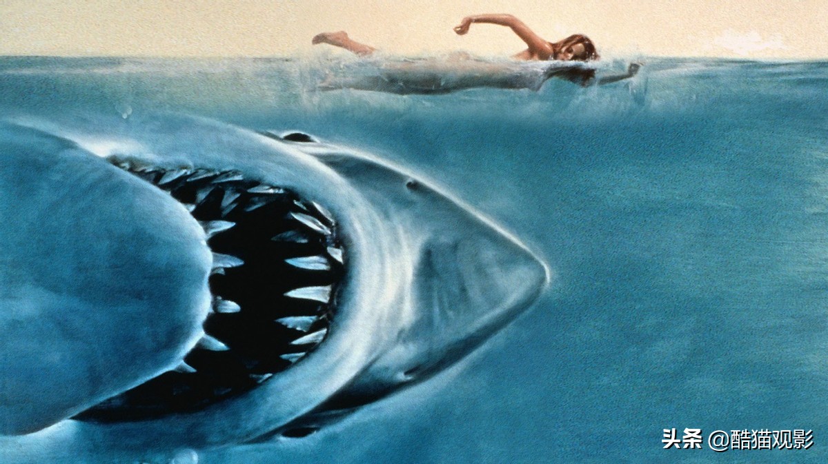 哪几部鲨鱼电影好看吗
