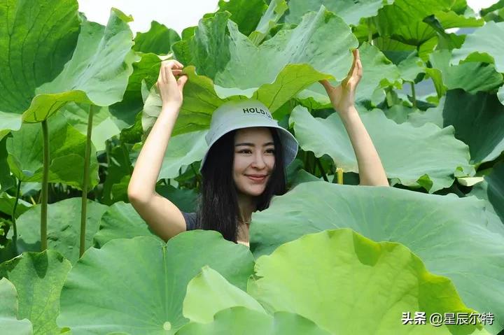 整体的关于痛到心碎的伤感散文，希望我的文章你能喜欢