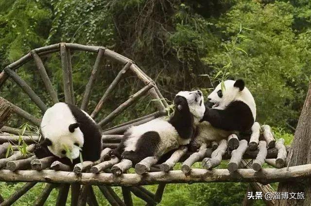 今生必打卡！见证5000年历史和文明的中国56处世界遗产，你都去过几个？