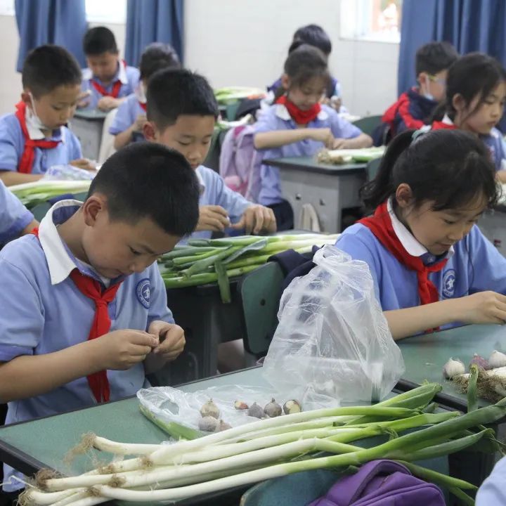 发扬劳动精神 争做先锋少年｜记川大西航港实小劳动技能大赛活动