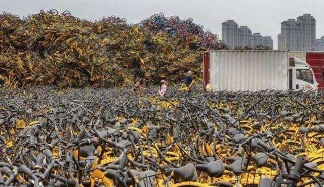 戴威：23岁创办OFO成资本宠儿，27岁烧光150亿成老赖，哪步错了？