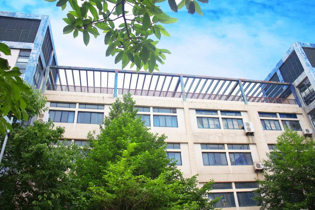 火了！这类人才很稀缺，受到各地政府、全球名企争抢，就业率超高！