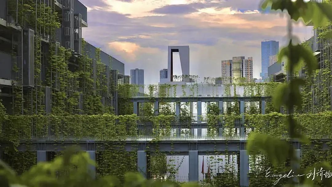 2022年牛津放榜，深国交学子录取如何？