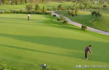 津南区（天津市下辖区)