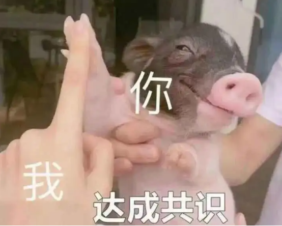 授之于渔：从容声501、美的495、海尔468拆机看冰箱优劣