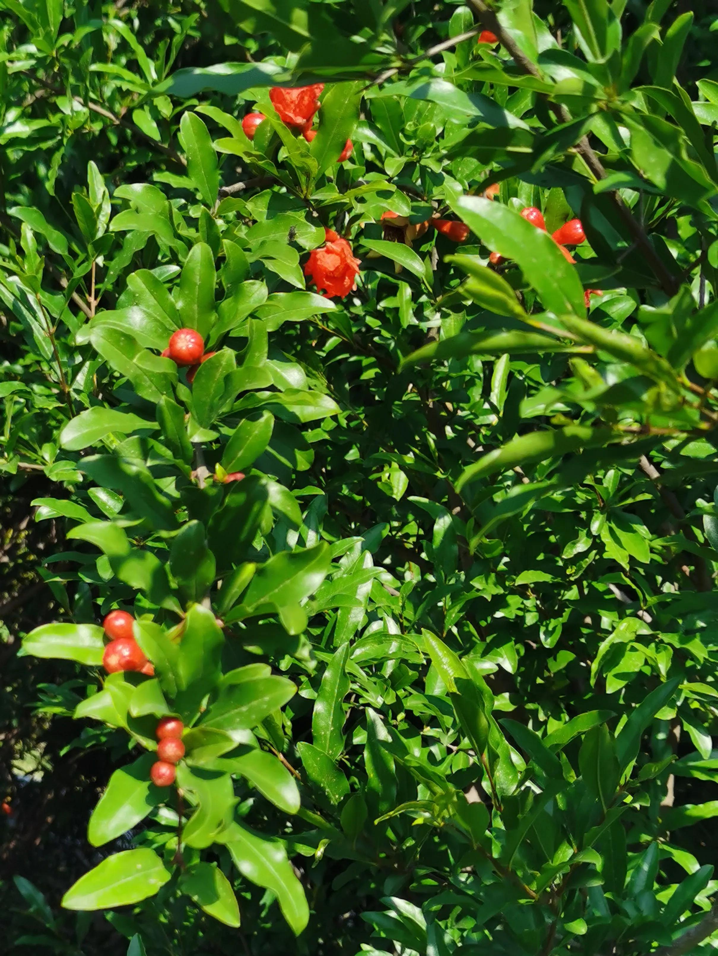 起诉状等法律文书小大全