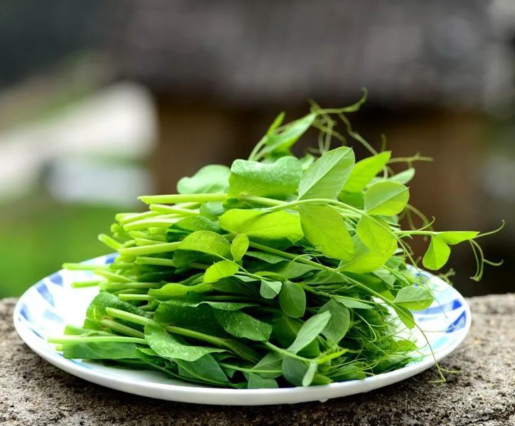 別樣漢中“味”，這個春天你吃了嗎？