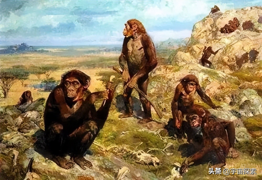大约在2000万年前,人类和类人猿还拥有共同的祖先