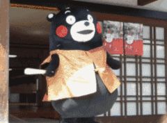 你应该知道的关于考研的3个真相！是否要跨专业考研？去追风口？