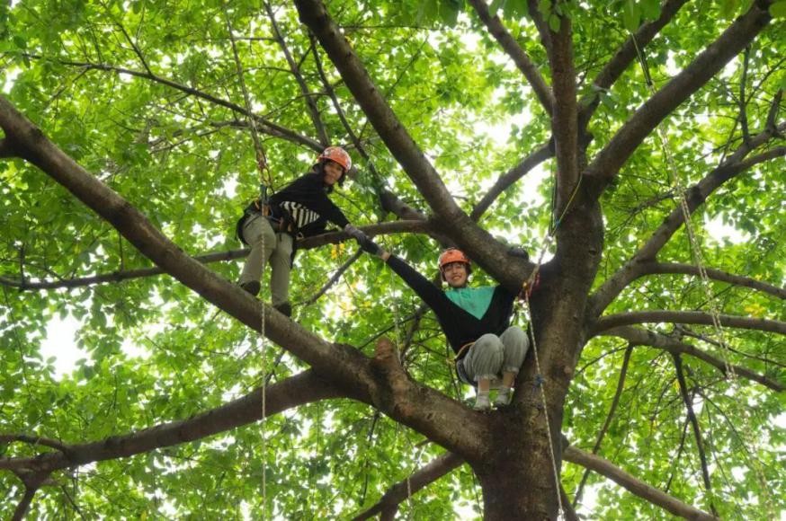 逢盛世，求卓越，怀青云志赴“一流”！四川大学，邀你共赴未来！