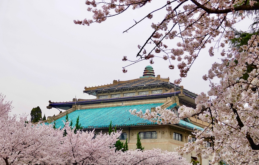 “黄包学姐”后续，文学系女生再发文拒收道歉，谁说书生百无一用