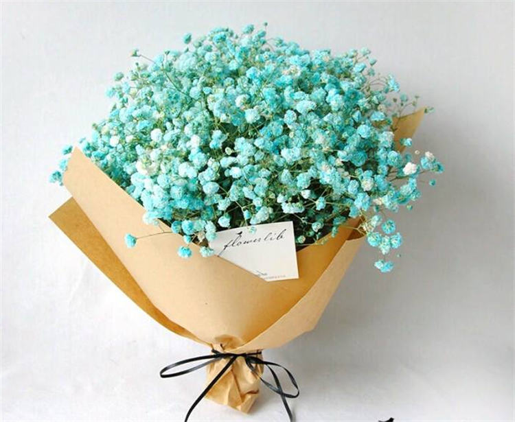 盘点：6种满天星颜色的寓意，最后一种颜色的满天星，生活中少见