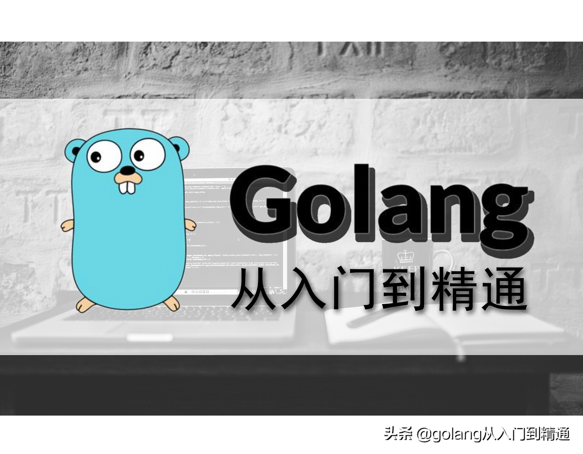 Go语言入门到精通：位置定位功能设置详解