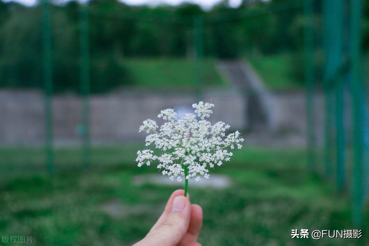 掌握这12个超实用的手机摄影技巧，你也能拍出美丽大气的摄影大片