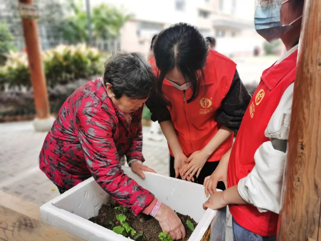 不亦乐乎！养老院可以种菜了