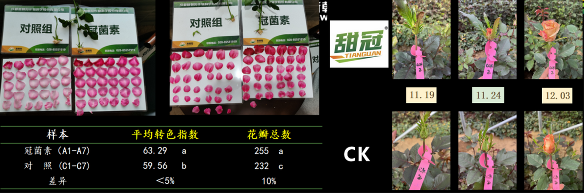 号称第七类植物调节剂的冠菌素，究竟能带给我们什么？