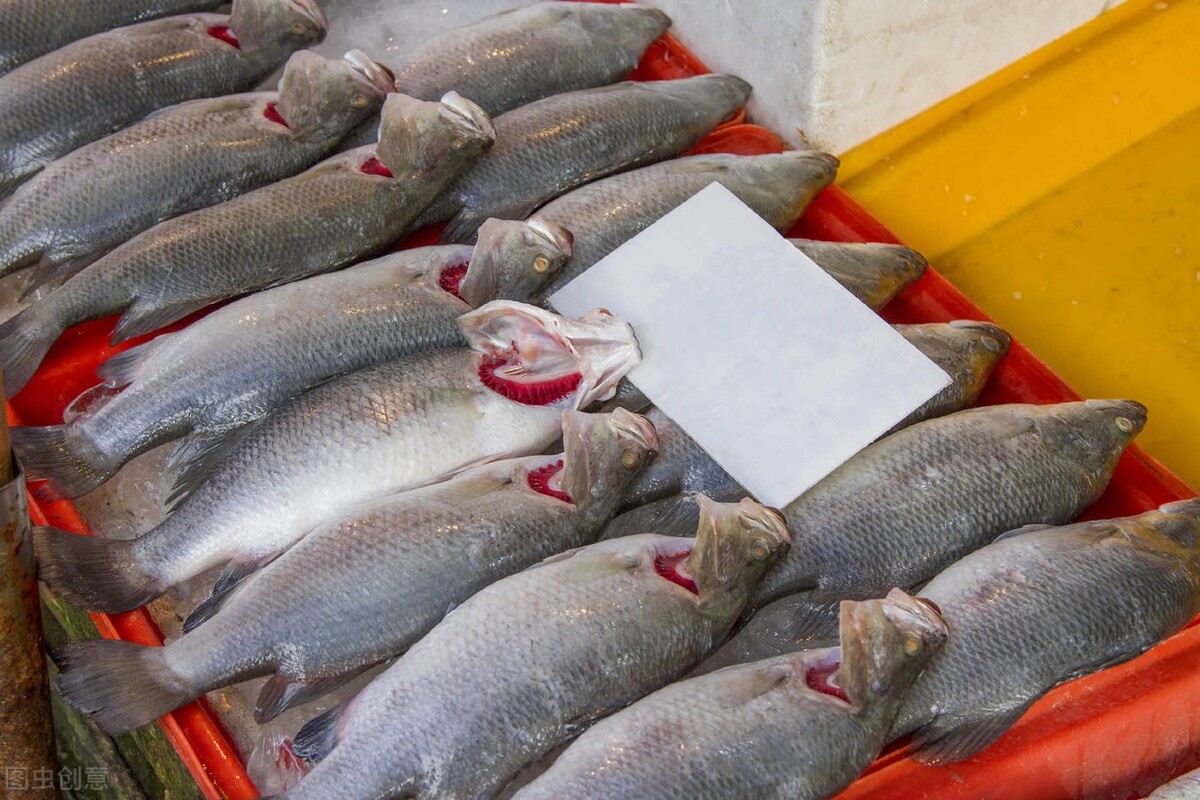 超市卖仰泳鲈鱼,2条15元,能吃吗?今年鱼啥价,吃得起吗?