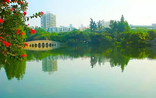 深圳这22个地方真美，可以徒步穿越，看海，地铁直达，无门票