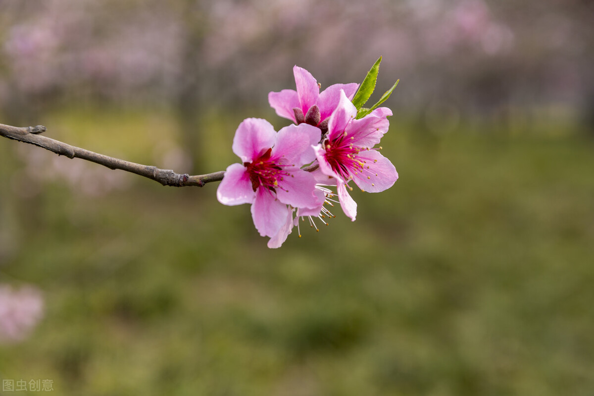 写作是最划算的一笔时间投资