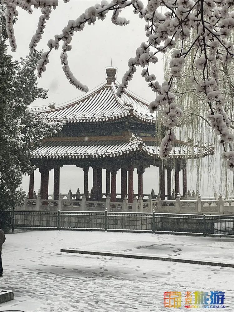 當春花遇上春雪,看京城別樣的詩意與浪漫