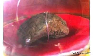 日本归还玄奘灵骨了吗？供奉日本战犯的吴啊萍曾是鼓楼医院护士？