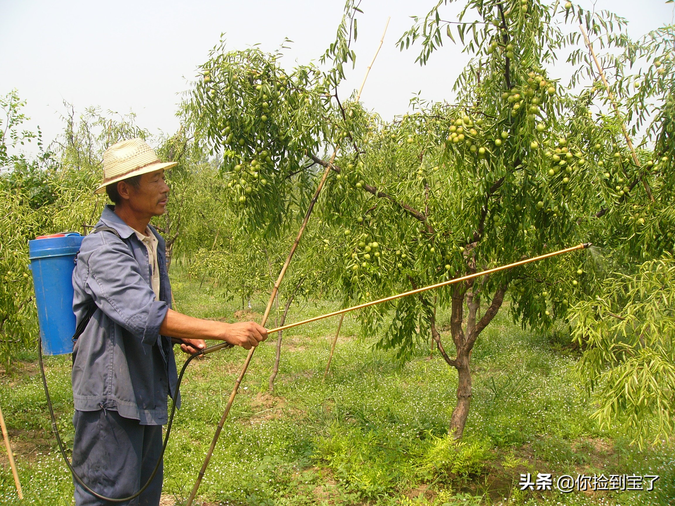 我爱家乡的小桥