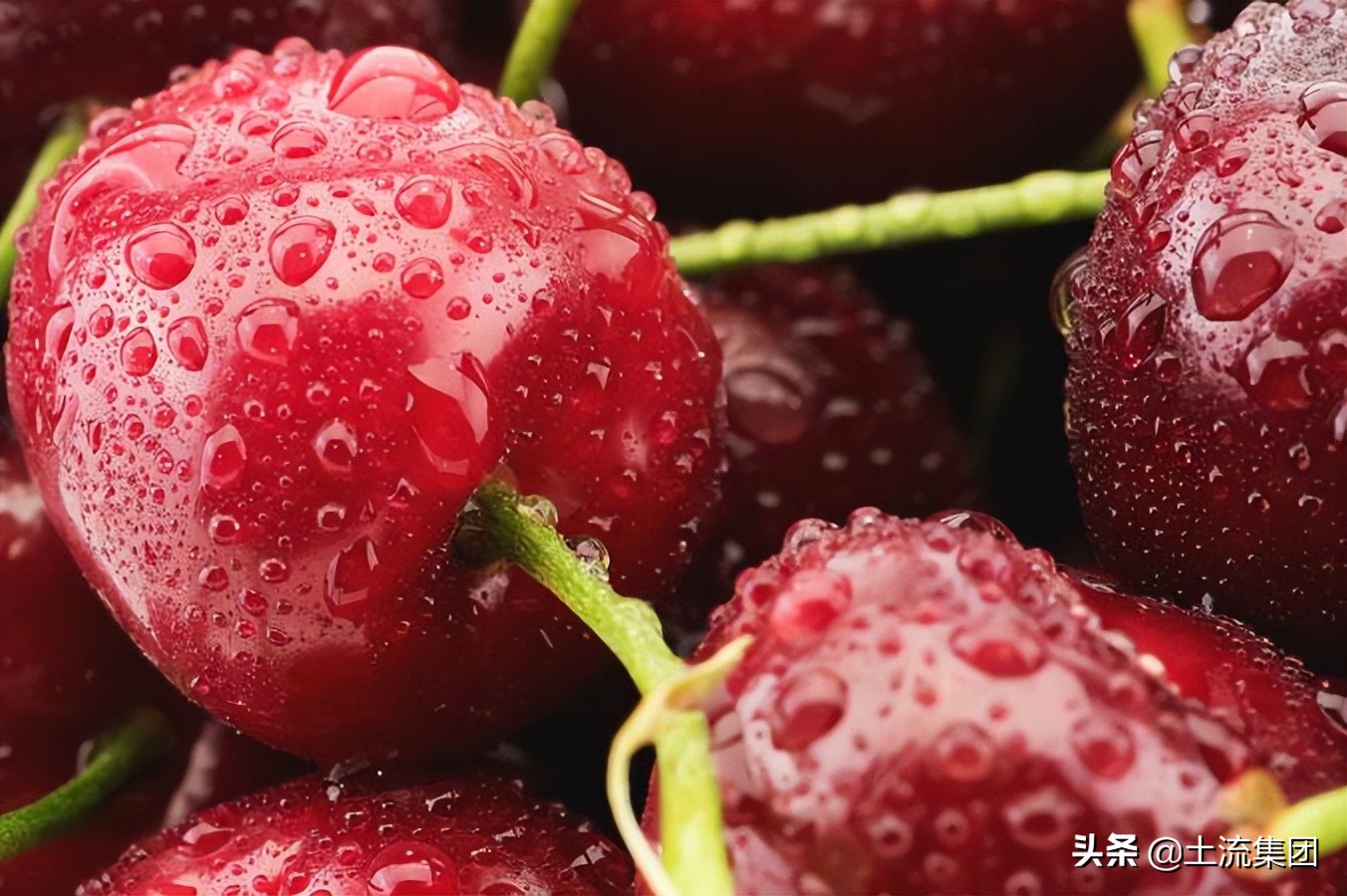 车厘子几j最好？怎么看车厘子几个J？车厘子2j3j4j对比介绍