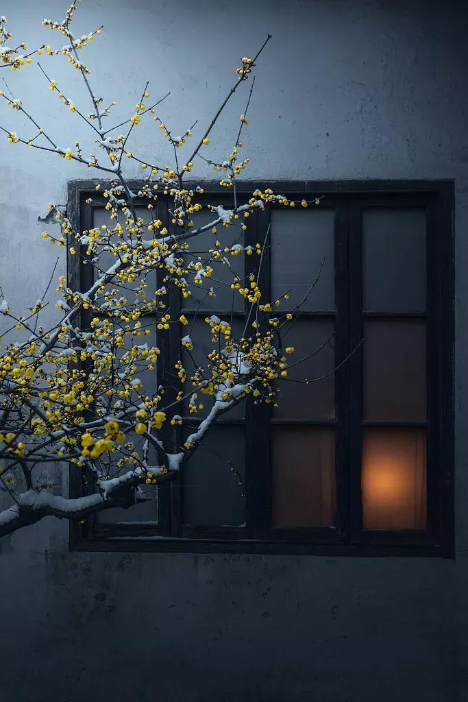 江城子*冬至(八首)