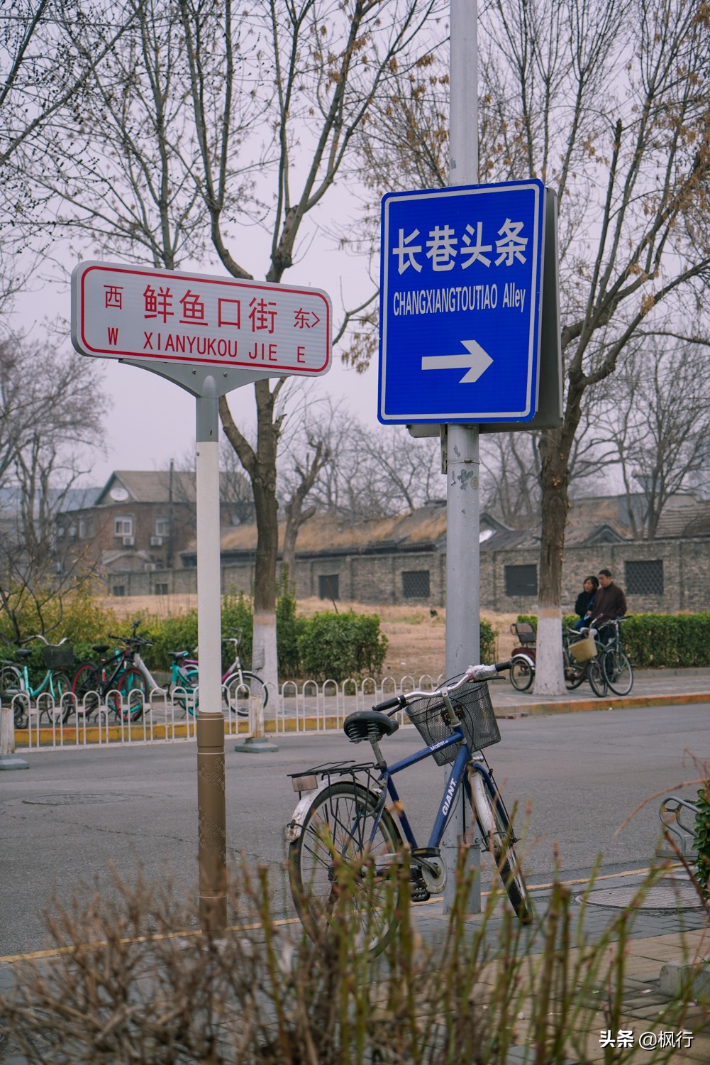 一夜之間，北京前門這個小公園，因為絕美桃花出瞭名；附拍攝攻略