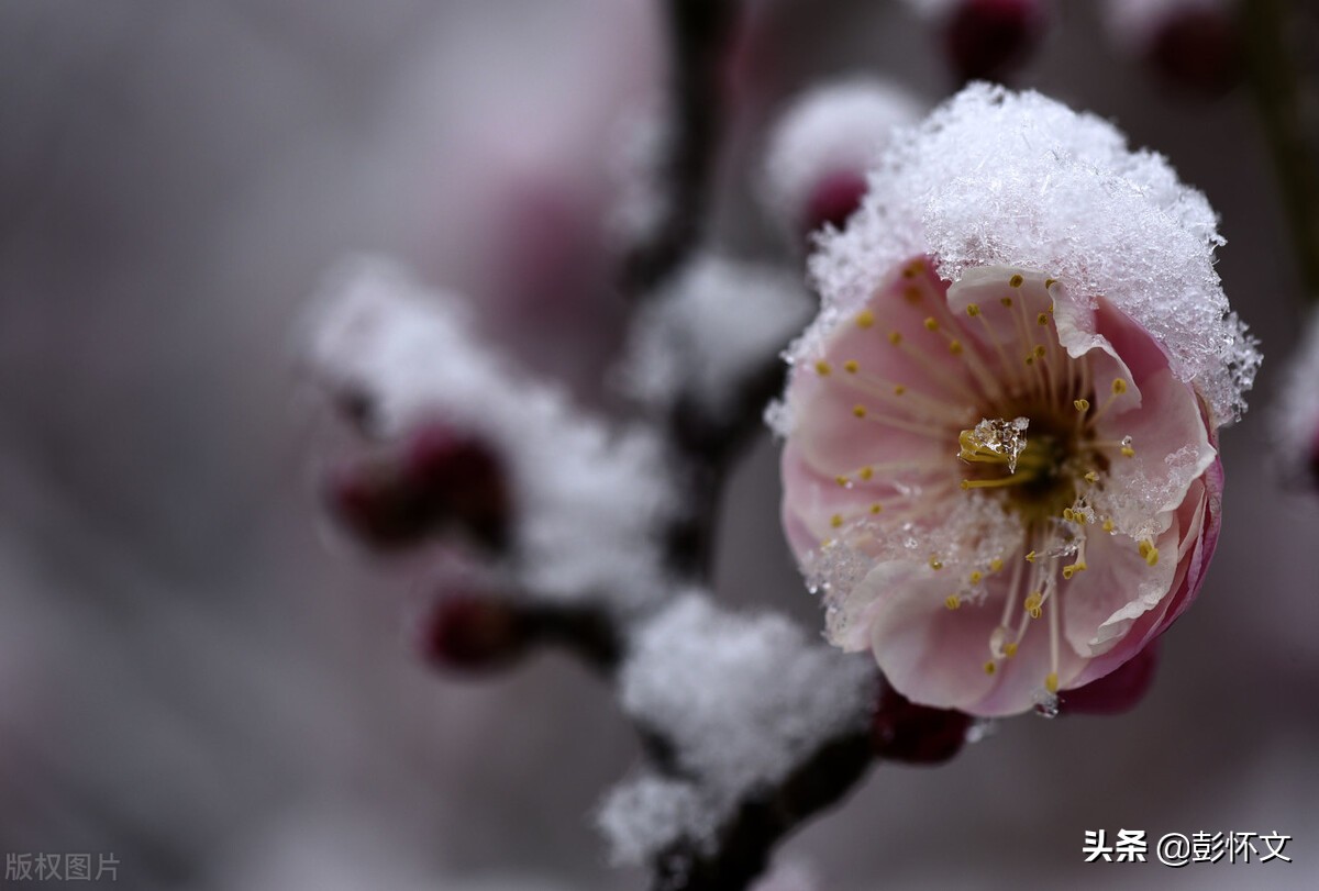 财税实务问题解答9则（2022年2月10日）