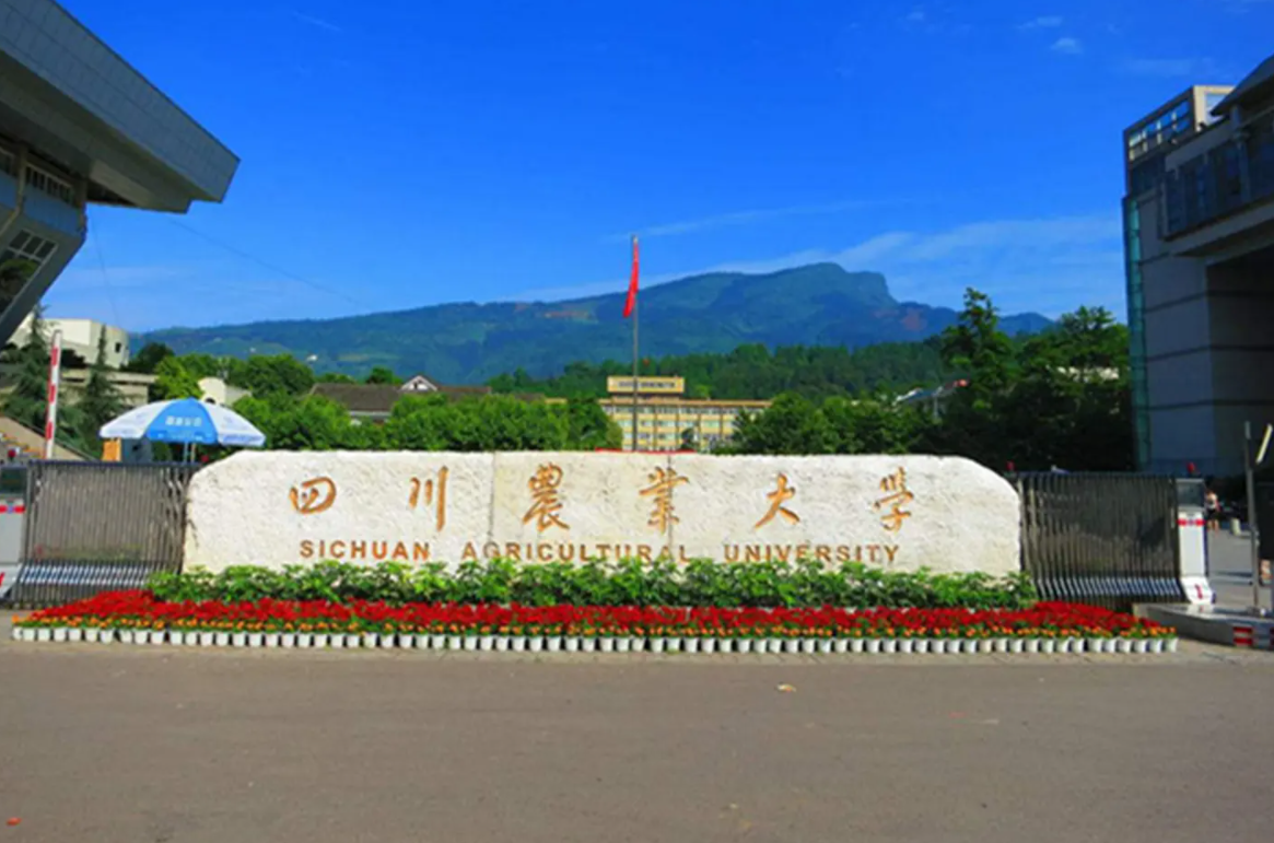 四川某高校女生举报，男生公然进“女泳池”潜水，校方作出回应