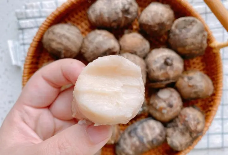 血脂高的人要多吃点芋头，可小芋头和大芋头，最应该吃哪种？