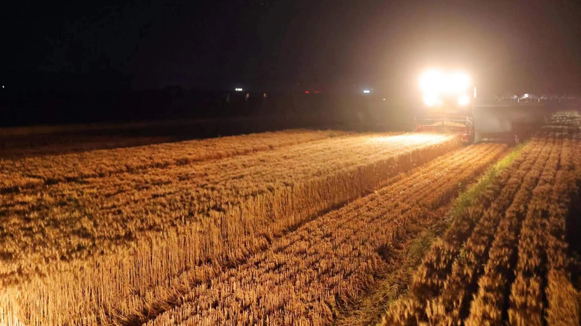 合阳县：应对不利天气，连夜抢收小麦