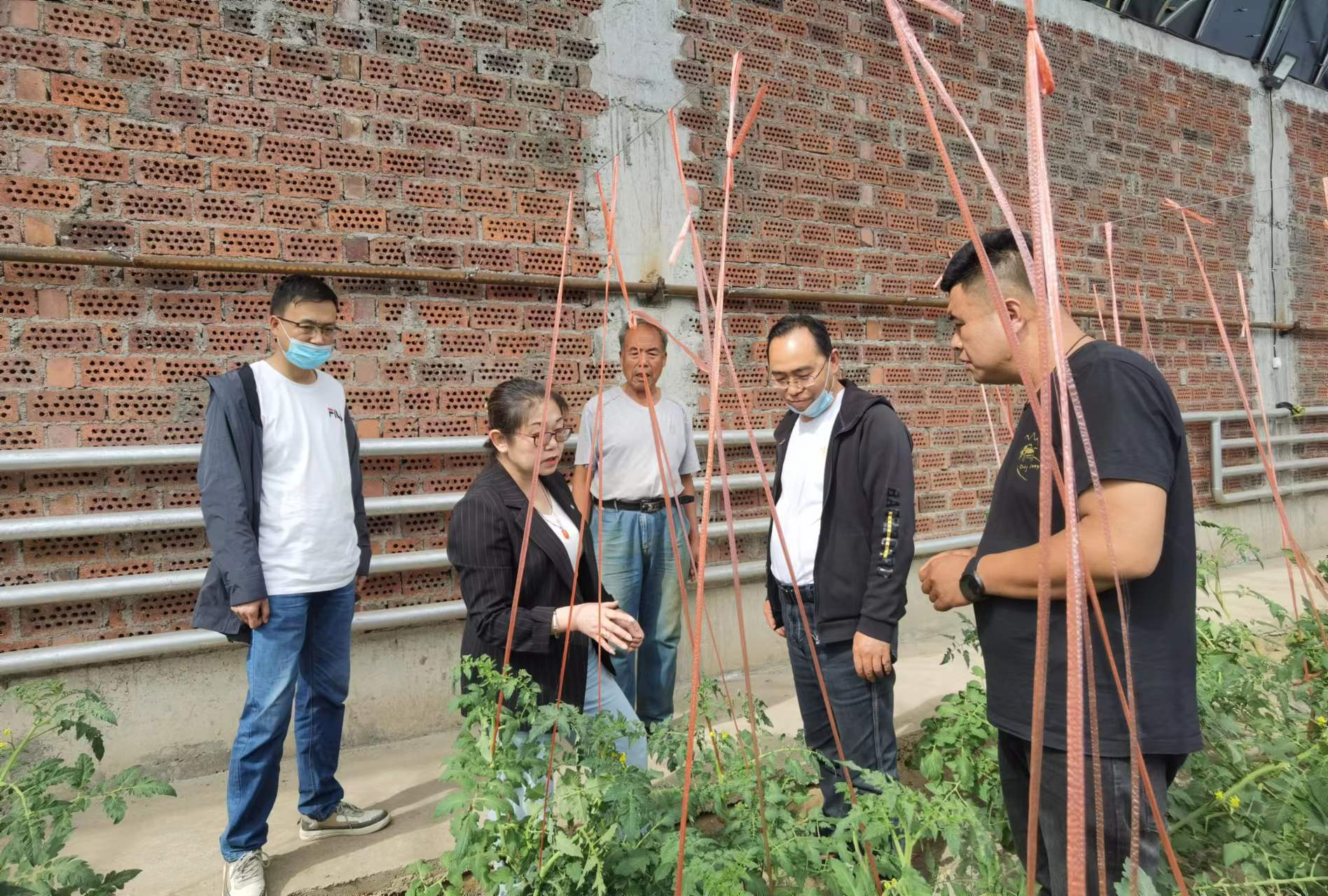 农业技术培训助力产业振兴