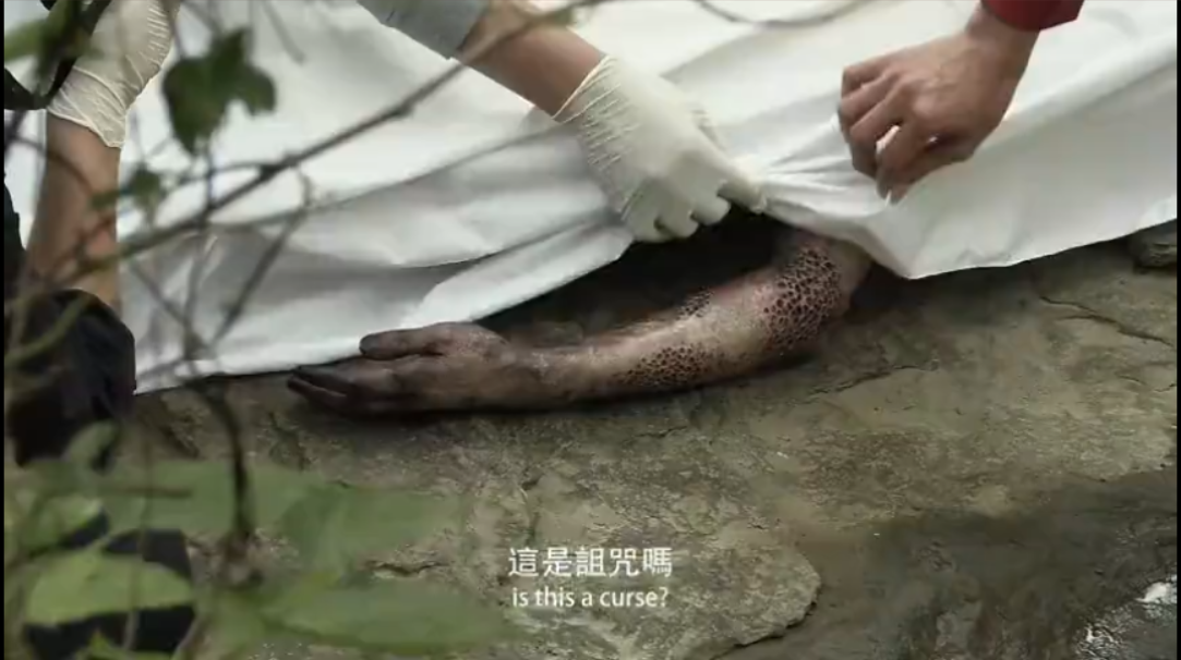 全球第一名的恐怖电影(敢号称台湾影史第一恐怖电影，全网都在好评的《咒》，到底好在哪)