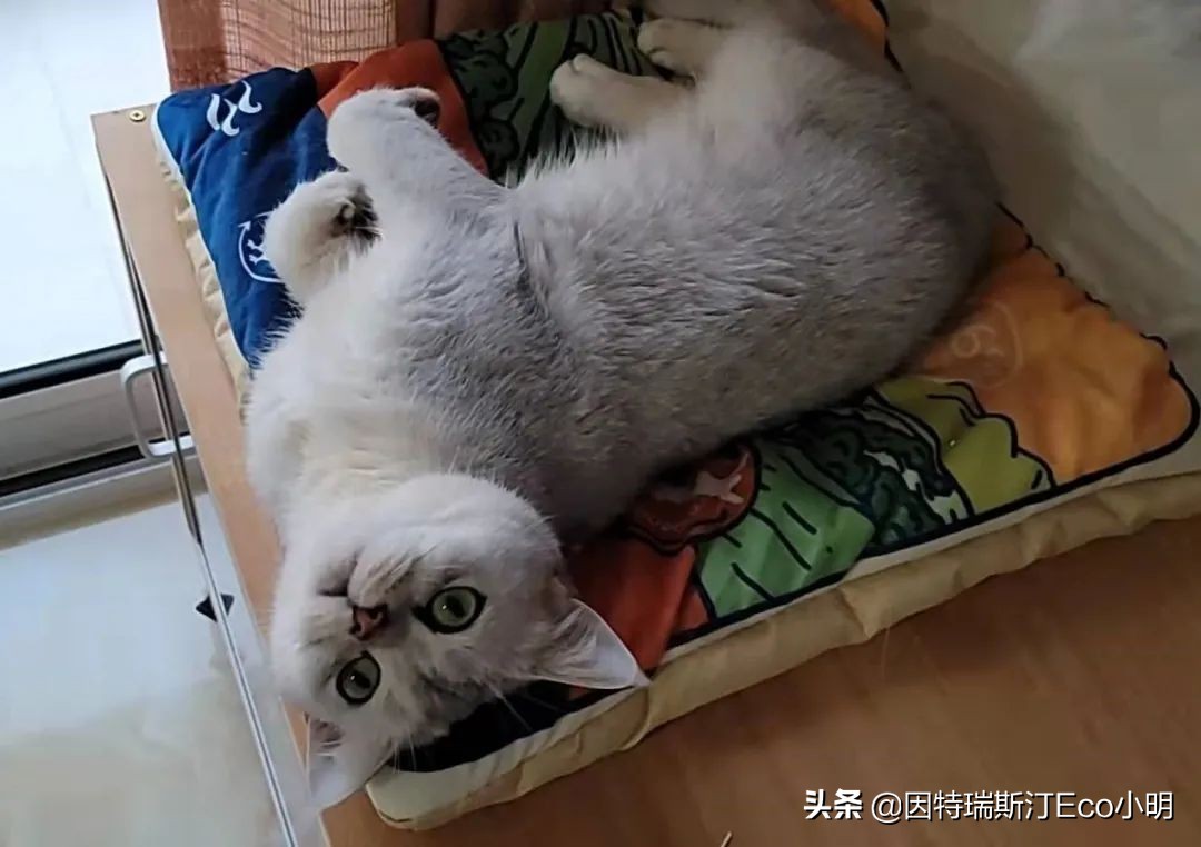 生物医药或接棒芯片制裁，再挂起一柄达摩克里斯之剑