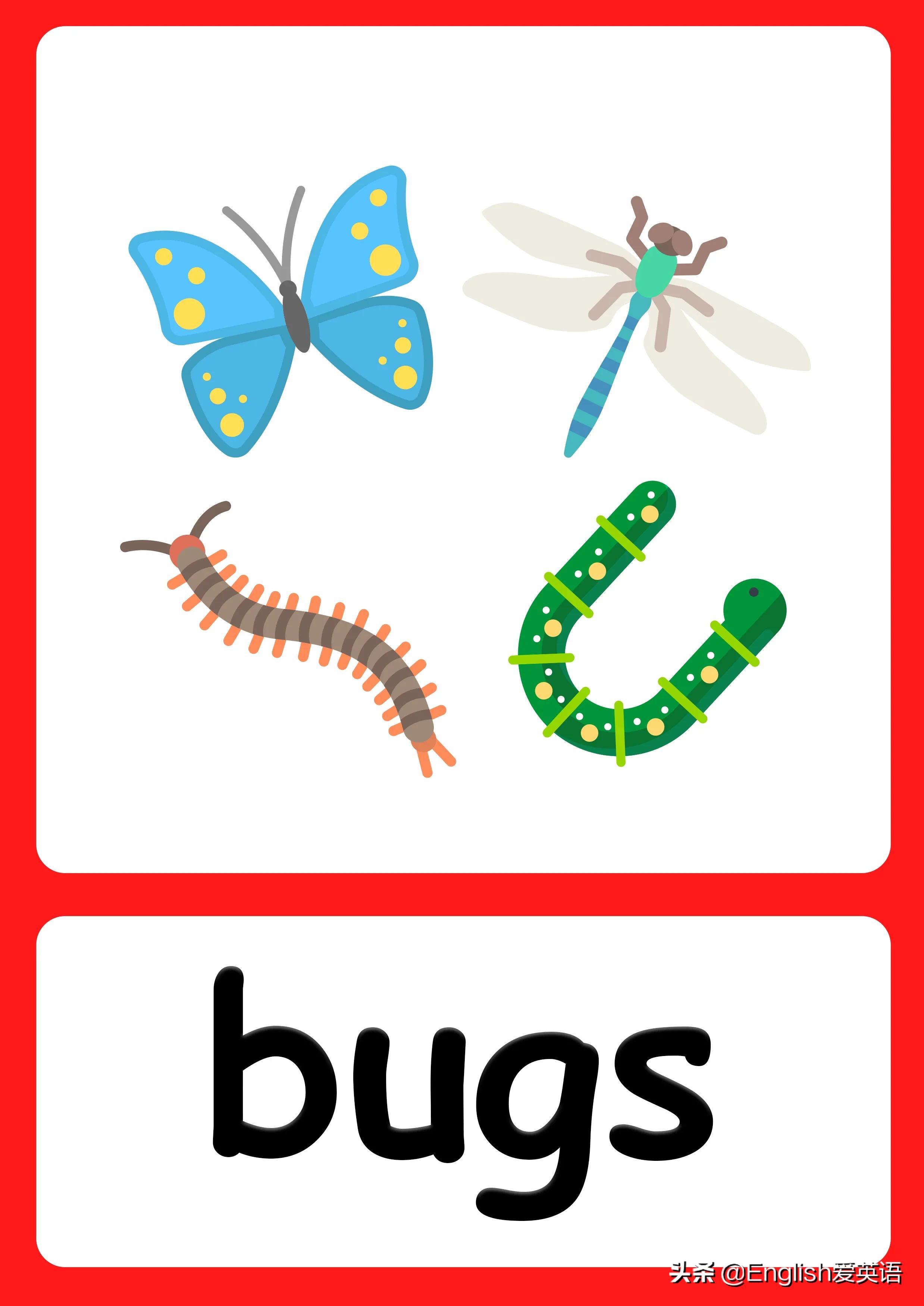 大人都喜欢的英语启蒙视频 上百个视频81个文件 附Flashcards可打印