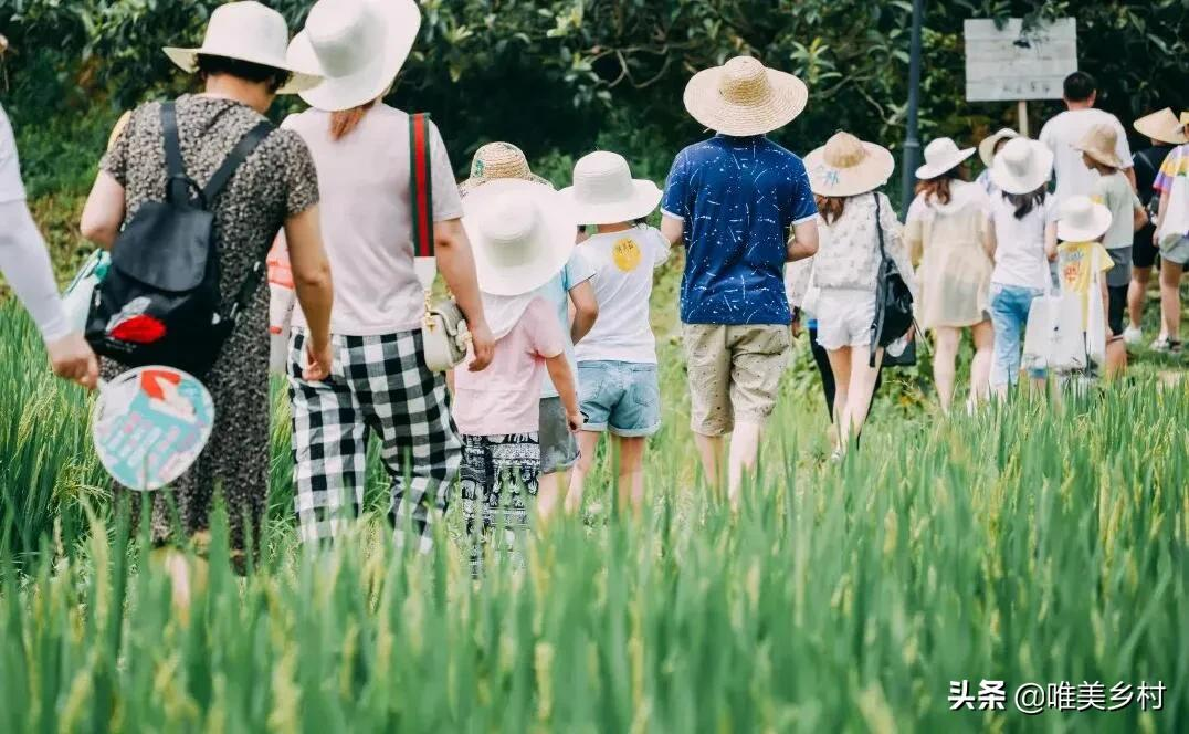 家庭农场、休闲农业植入“亲子”业态，如何与市场对接？五大技巧
