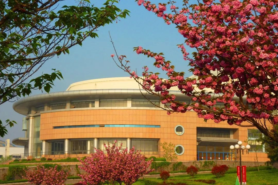 5大艺术专业招生449人，青岛大学发布2021年艺术类专业招生计划